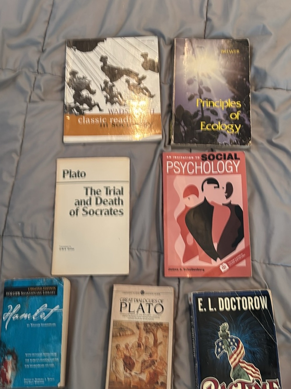 Assorted Classic & Academic Paperback Book Lot - Neutral Colors
